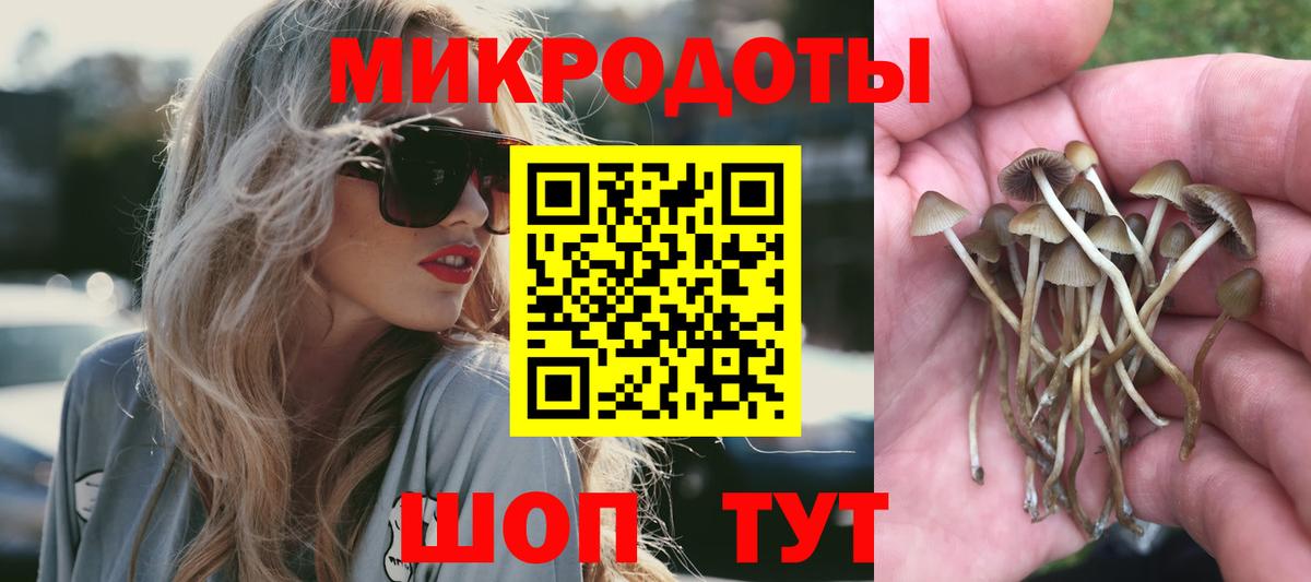 Псилоцибиновые грибы мицелий  закладка  Орехово-Зуево  Вход с VPN 